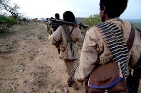 OGADEN NATIONAL LIBERATION FRONT, ONLF WILL DEMAND A REFERENDUM ON SELF-DETERMINATION FOR SOMALI REGION
